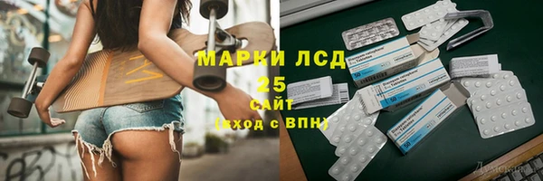 стаф Аркадак