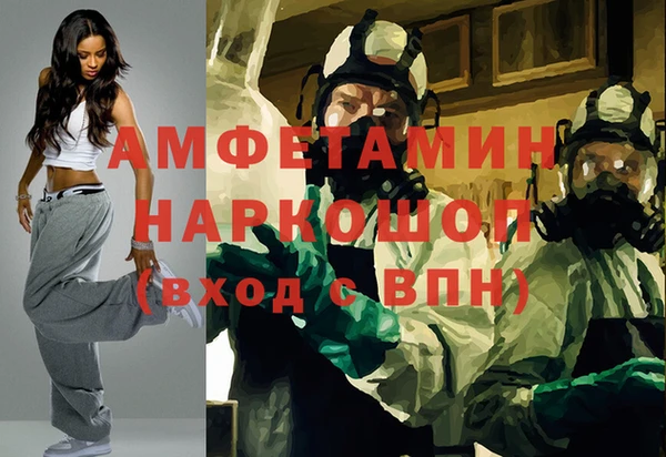 стаф Аркадак