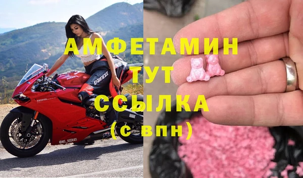 стаф Аркадак