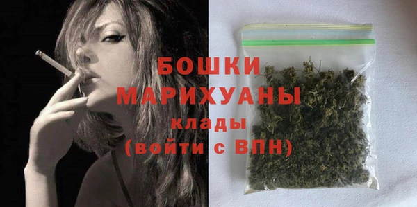 стаф Аркадак