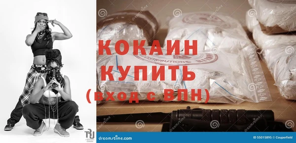 стаф Аркадак