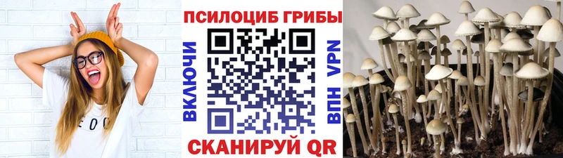 Псилоцибиновые грибы Psilocybe  Межгорье 